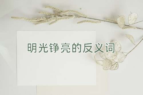 明光铮亮的反义词