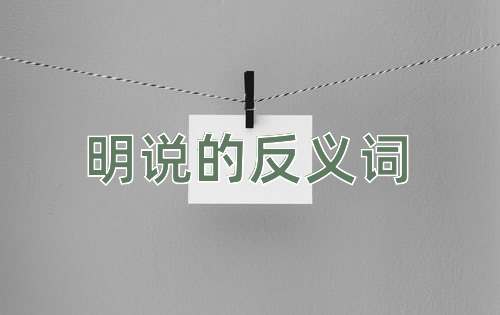 明说的反义词