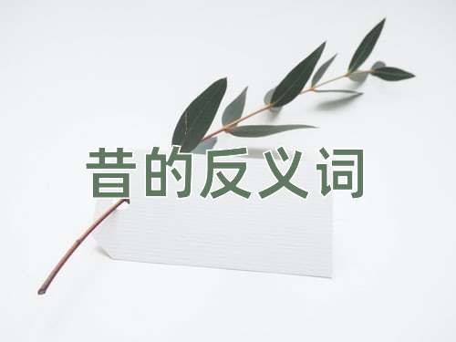 昔的反义词