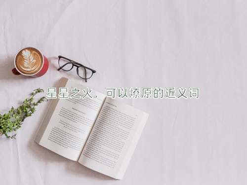 星星之火，可以燎原的近义词