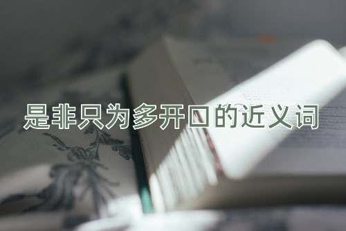 是非只为多开口的近义词