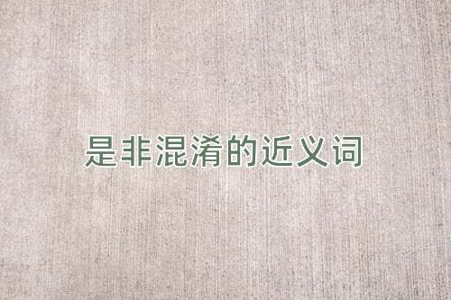 是非混淆的近义词