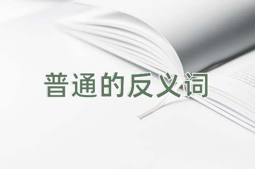 普通的反义词