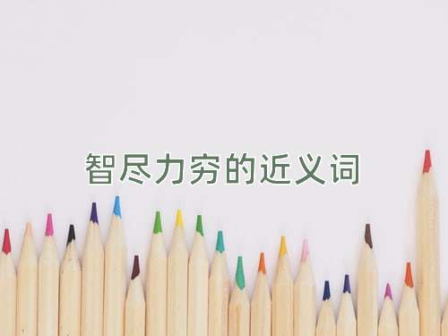 智尽力穷的近义词