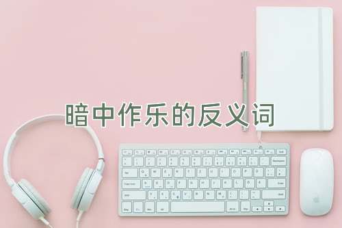 暗中作乐的反义词