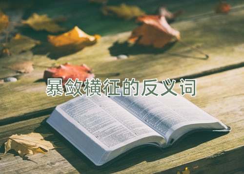 暴敛横征的反义词