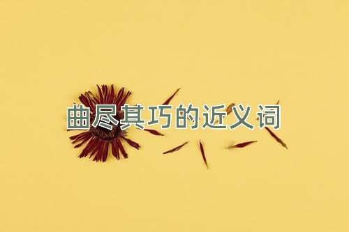 曲尽其巧的近义词