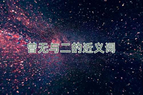 曾无与二的近义词