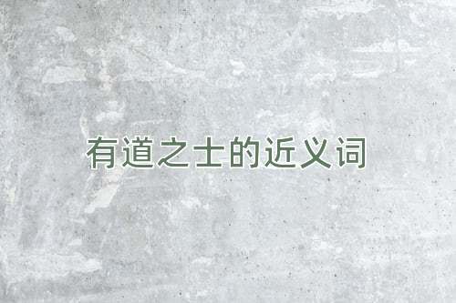 有道之士的近义词
