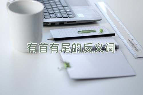 有首有尾的反义词