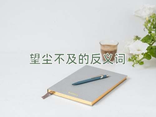 望尘不及的反义词