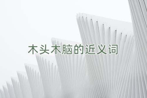 木头木脑的近义词