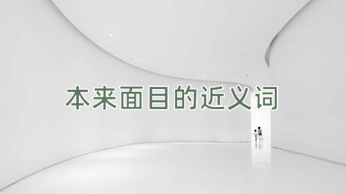 本来面目的近义词