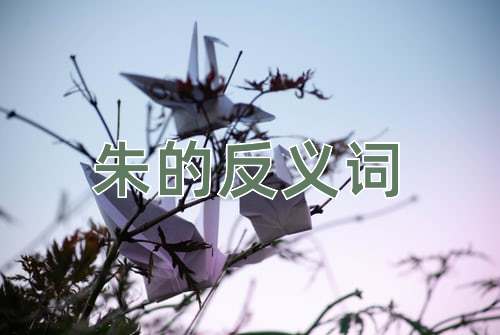 朱的反义词