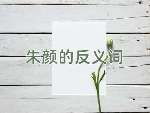 朱颜的反义词