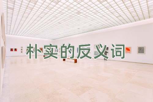 朴实的反义词