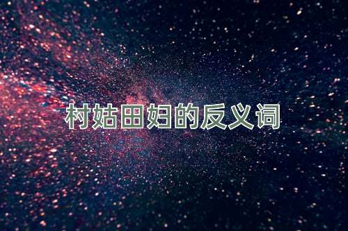 村姑田妇的反义词