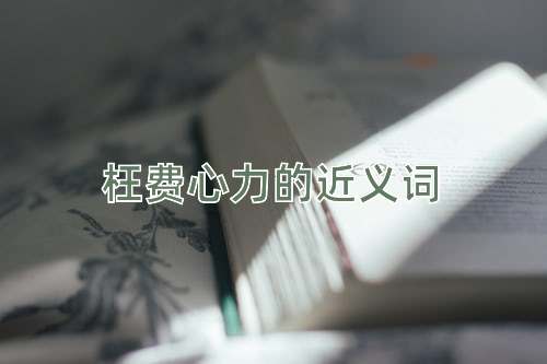 枉费心力的近义词