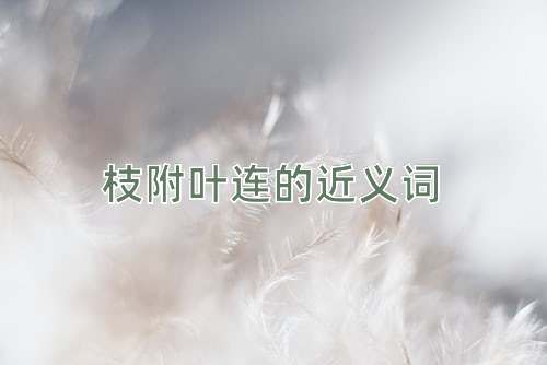 枝附叶连的近义词