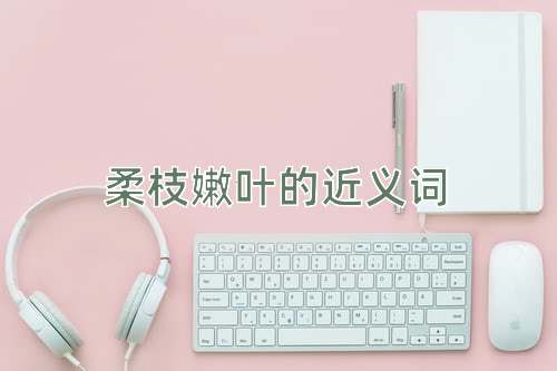 柔枝嫩叶的近义词