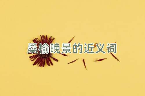 桑榆晚景的近义词