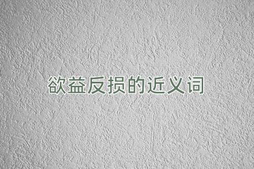 欲益反损的近义词