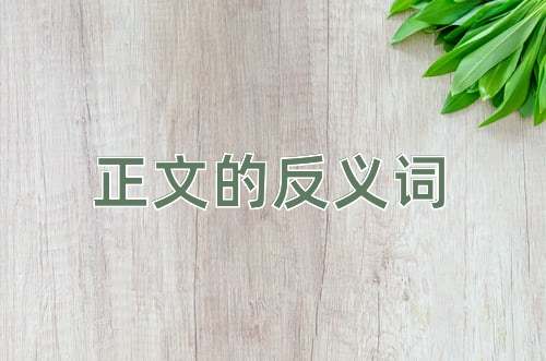 正文的反义词