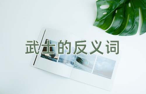 武士的反义词