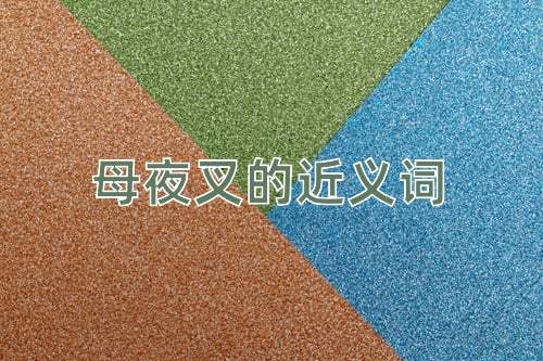 母夜叉的近义词