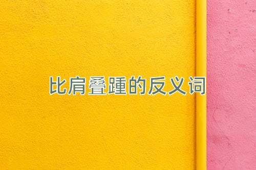比肩叠踵的反义词
