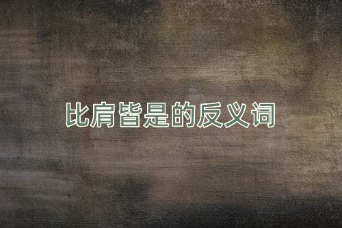 比肩皆是的反义词