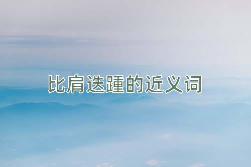 比肩迭踵的近义词