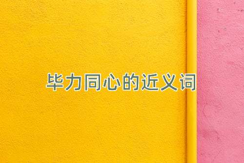 毕力同心的近义词