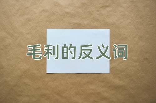 毛利的反义词