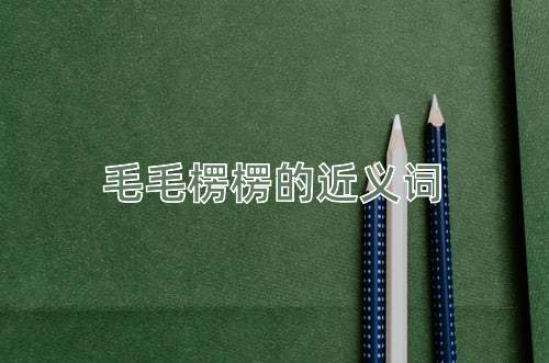 毛毛楞楞的近义词