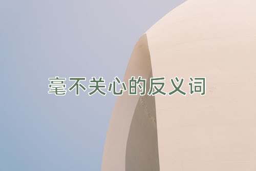 毫不关心的反义词