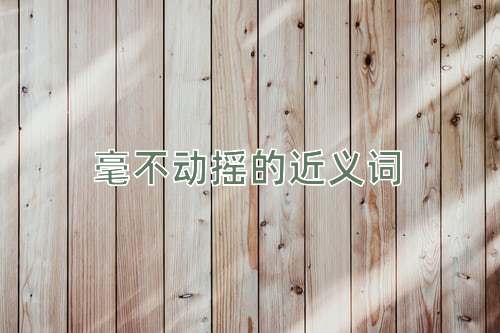 毫不动摇的近义词