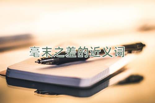 毫末之差的近义词