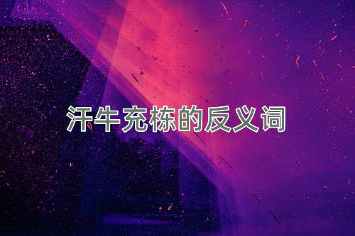 汗牛充栋的反义词
