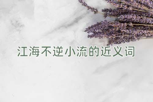 江海不逆小流的近义词