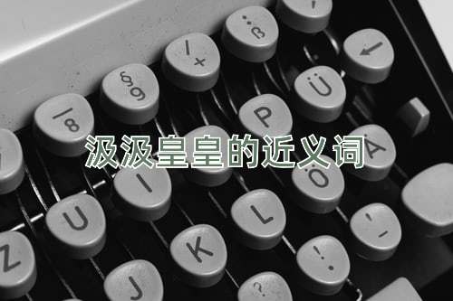 汲汲皇皇的近义词