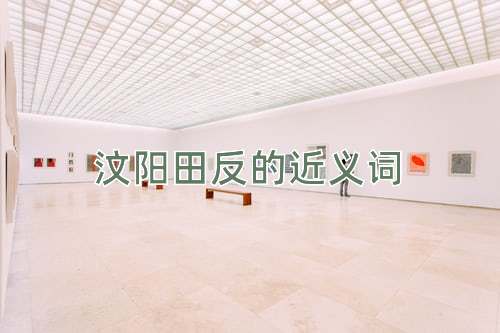 汶阳田反的近义词