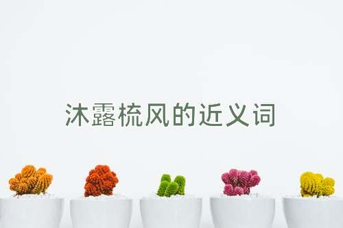 沐露梳风的近义词