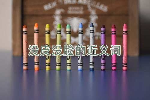 没皮没脸的近义词