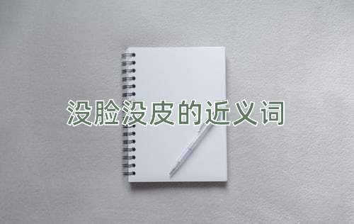 没脸没皮的近义词