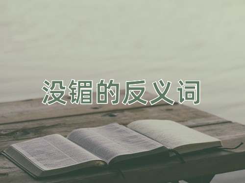 没镅的反义词