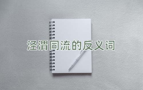 泾渭同流的反义词
