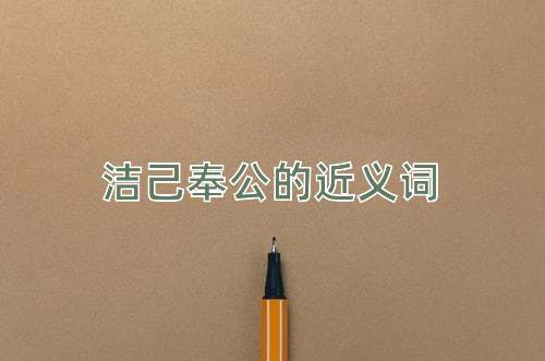 洁己奉公的近义词