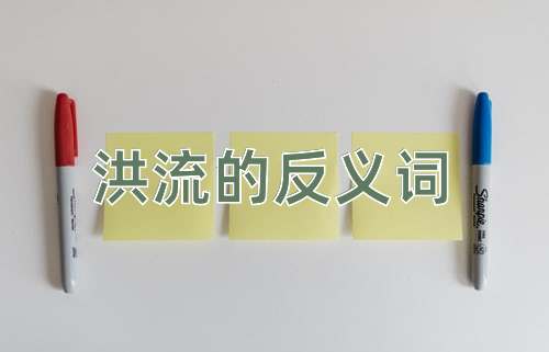 洪流的反义词