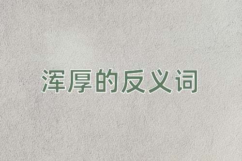 浑厚的反义词